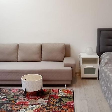 Piata Muzeului 1 Apartment Cluj-Napoca Luaran gambar