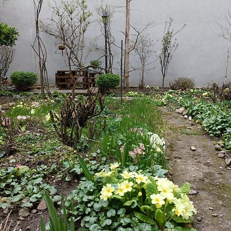 Piata Muzeului 1 Apartment Cluj-Napoca Luaran gambar