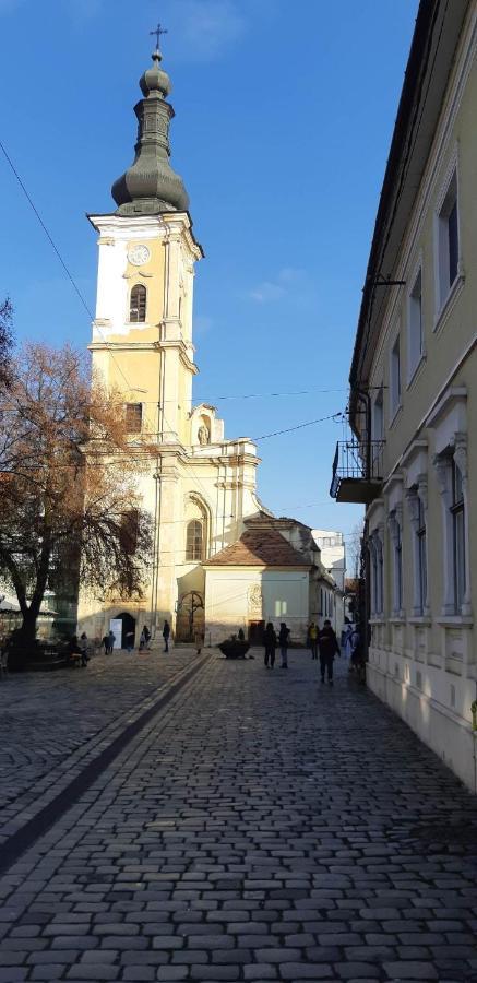 Piata Muzeului 1 Apartment Cluj-Napoca Luaran gambar