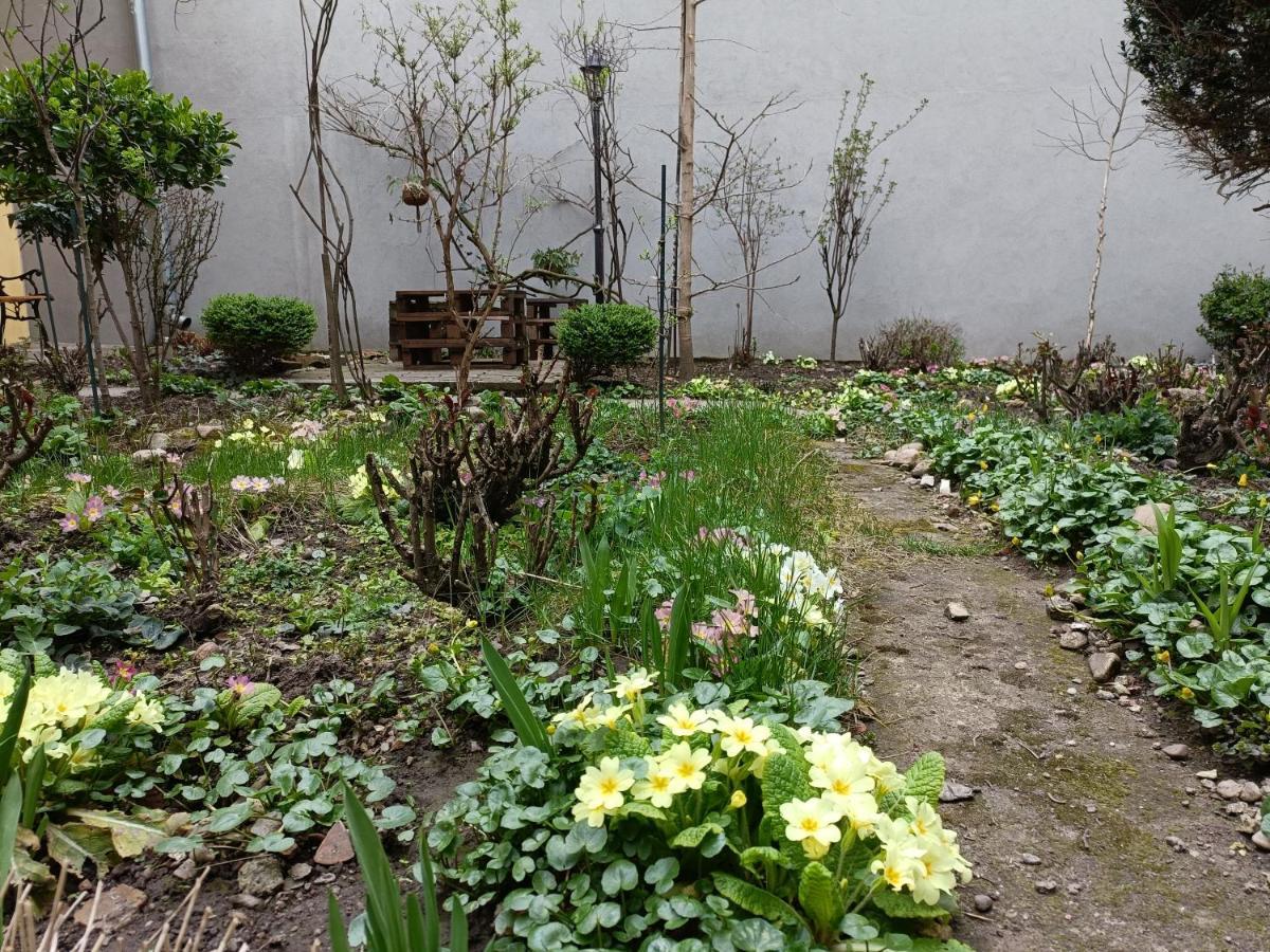 Piata Muzeului 1 Apartment Cluj-Napoca Luaran gambar